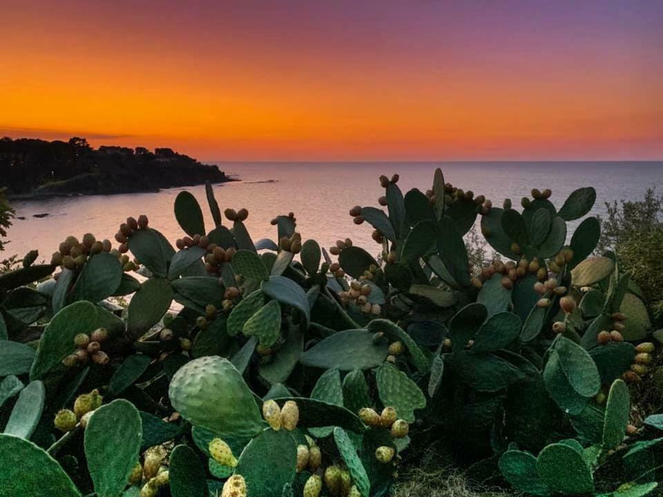 Ogliastro Sul Mare - Sleep And Dream Villa Cefalu Luaran gambar