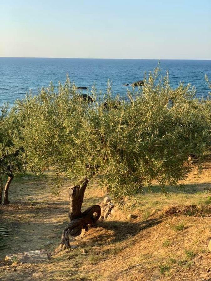 Ogliastro Sul Mare - Sleep And Dream Villa Cefalu Luaran gambar